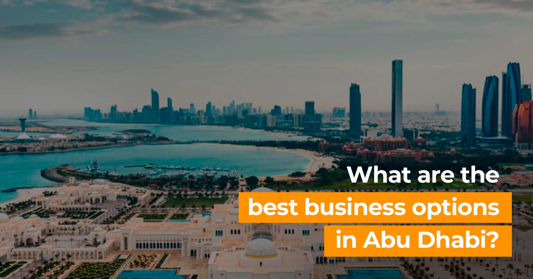 What are the best business options in Abu Dhabi?